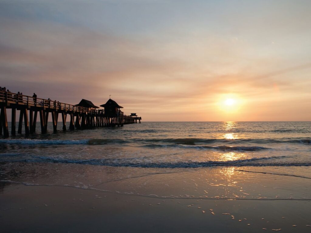 Many Years of Moving Naples Families — What We’ve Learned About Care and Commitment